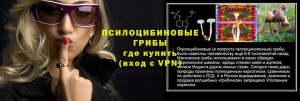 МДПВ Алзамай