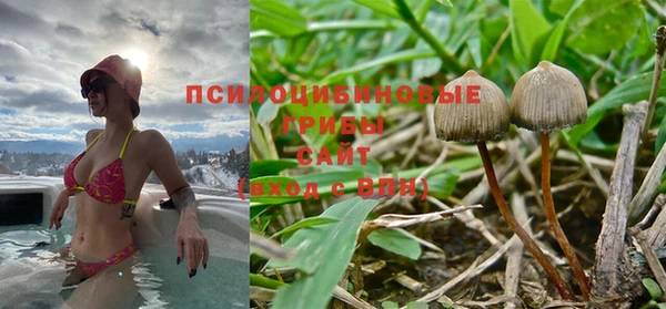 МДПВ Алзамай