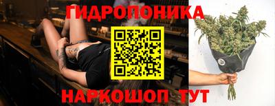 спайс Коммунар