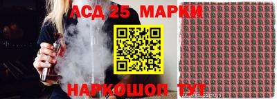 спайс Коммунар