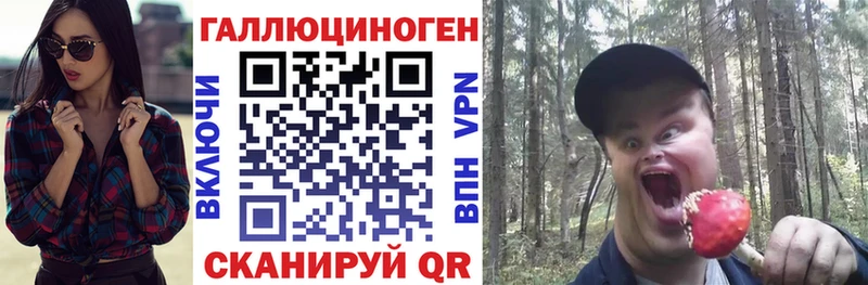 блэк спрут вход  Лабинск  Галлюциногенные грибы Psilocybe  как найти  
